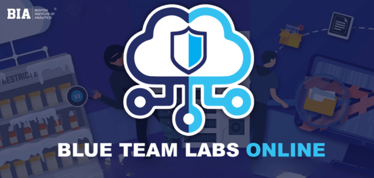 Blue Team Labs Online
