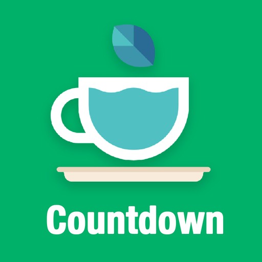 Enjoy Countdown Widget – Unique styles reminder