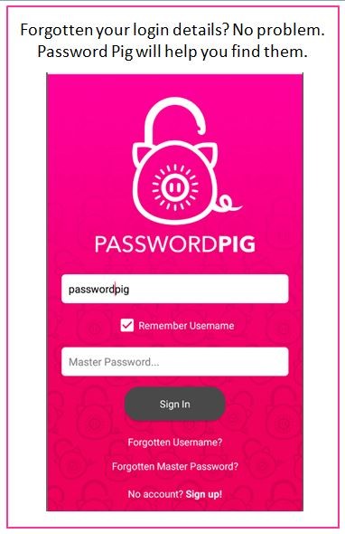 Password Pig