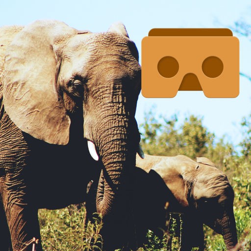 360 VR Elephant - Nature VR Apps for Kids