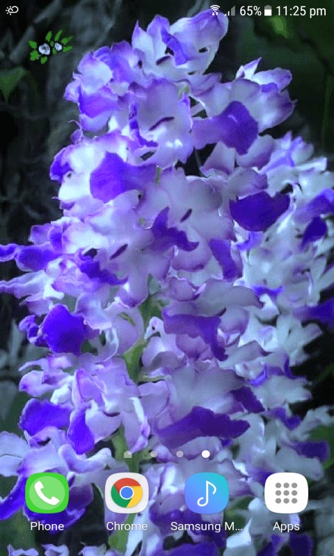 Blue White Flowers LWP