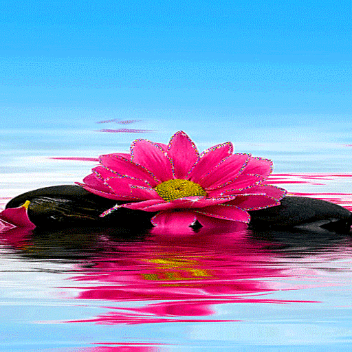 Shiny Pink Flower LWP