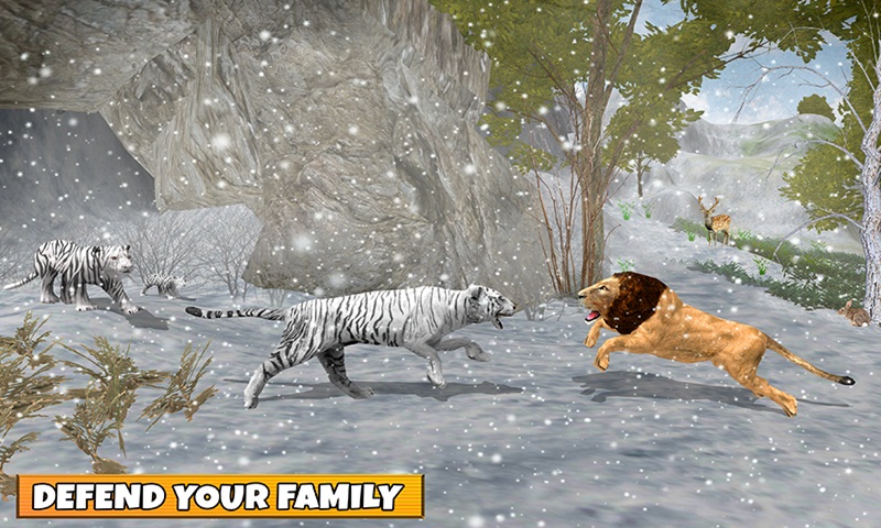 Snow Tiger Family