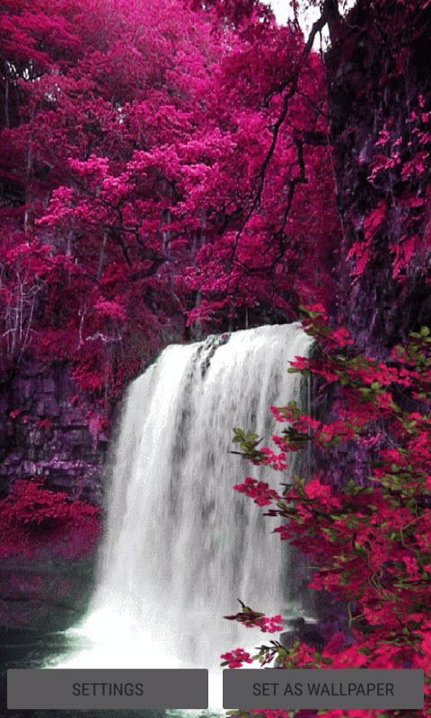 Spring Waterfall Live Wallpaper
