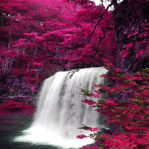 Spring Waterfall Live Wallpaper