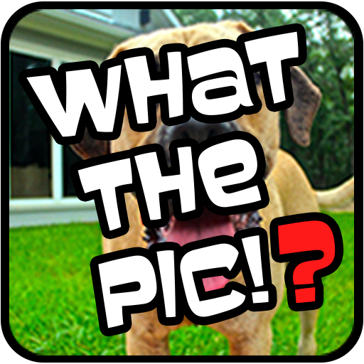 What The Pic!? - Photo Quiz