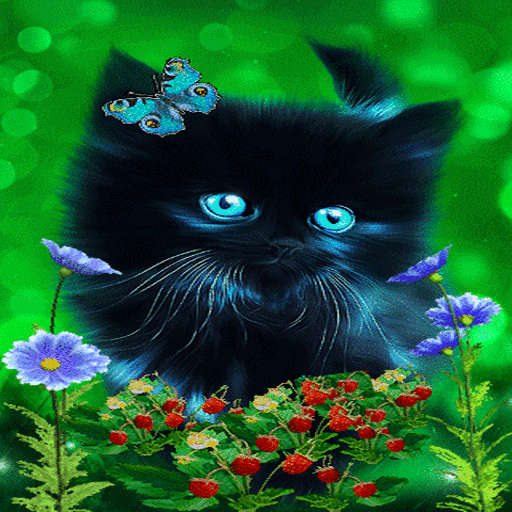 Butterfly Cat Live Wallpaper