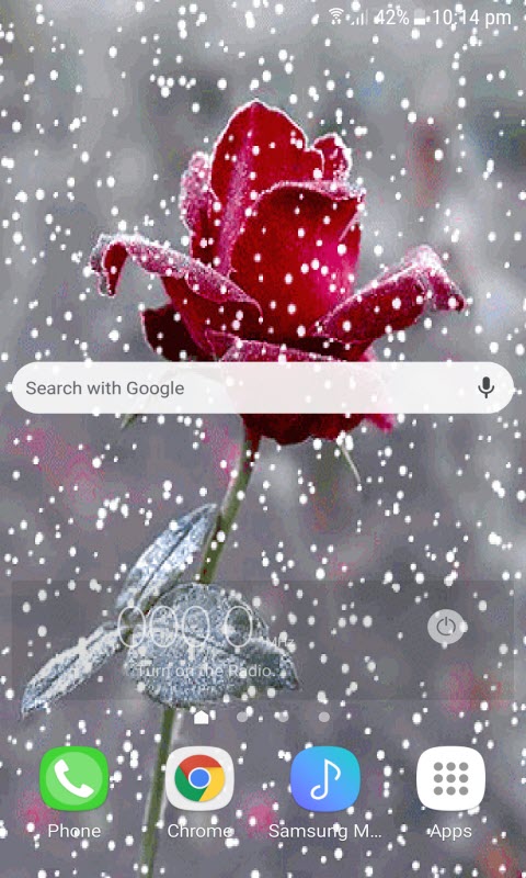 Red Snowy Rose LWP