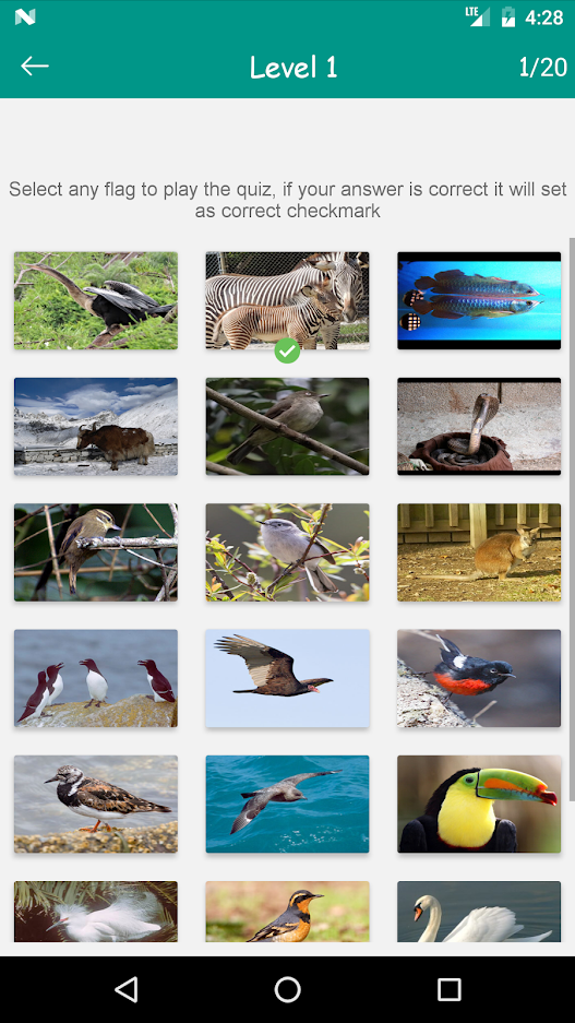 Animals & Birds Quiz Game