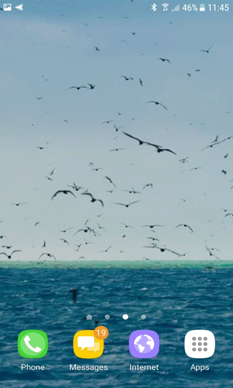 Ocean Birds Live Wallpaper
