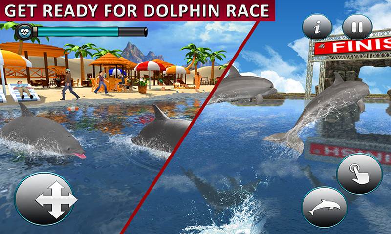 Dolphin Transport Passenger Beach Taxi Simulator