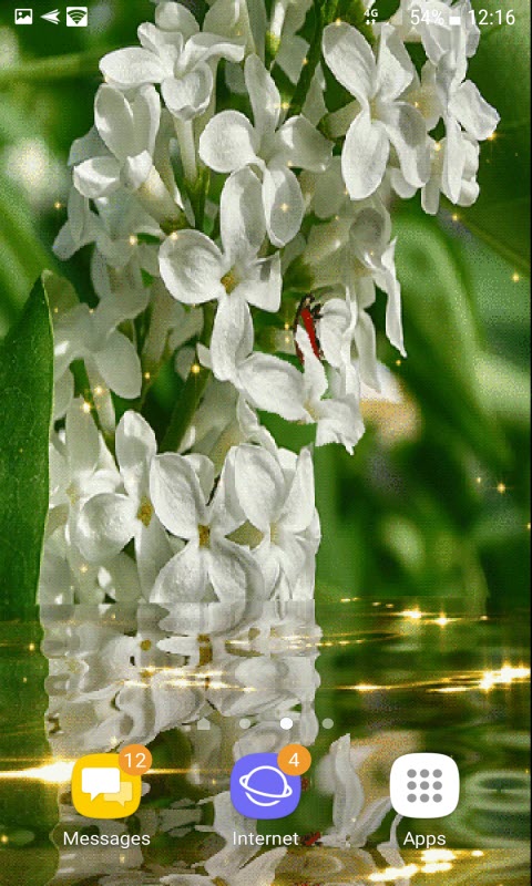White Magic Flowers LWP