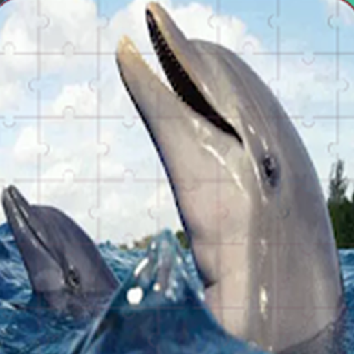 Dolphin puzzle games for adults and kids