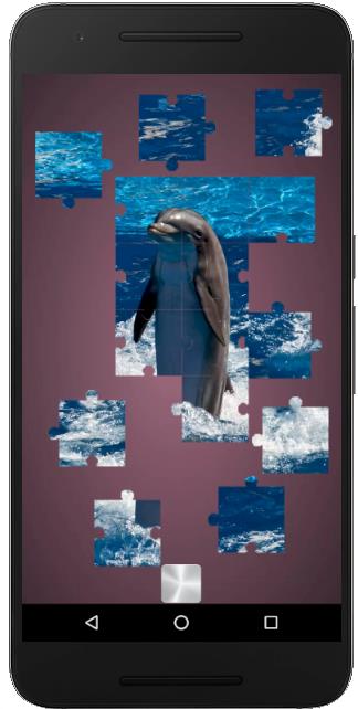 Dolphin puzzle games for adults and kids