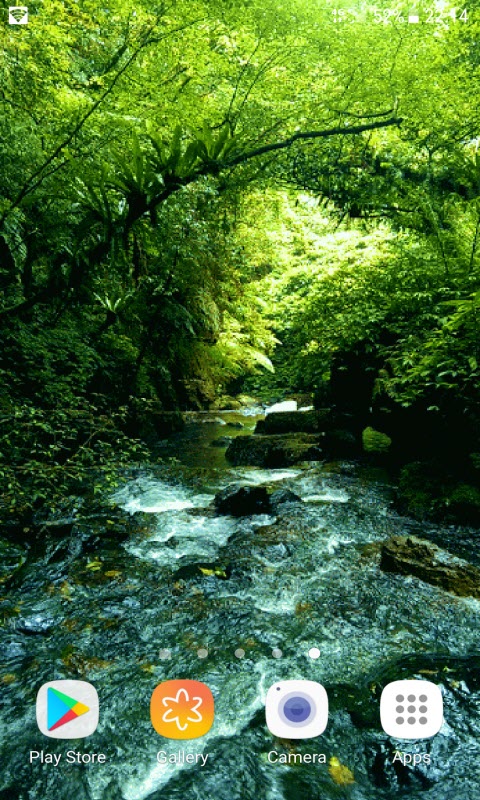 Green Forest River LWP