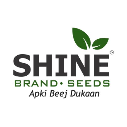 Shine Brand Seeds