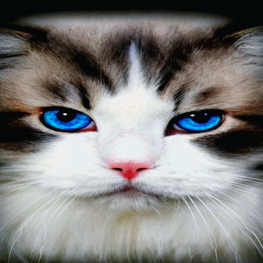 Blue Eyes Cat LWP