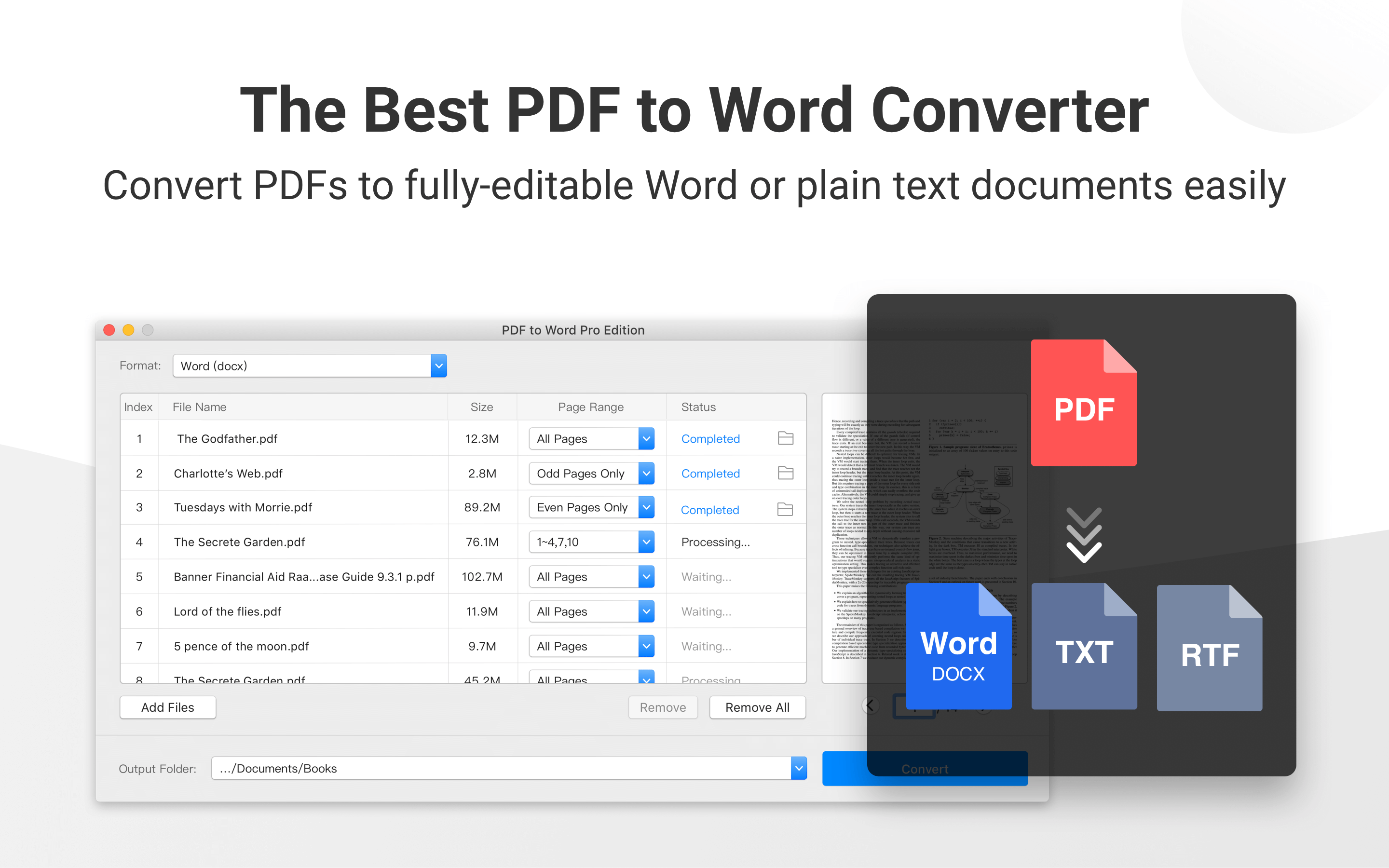 PDF To Word Pro Edition