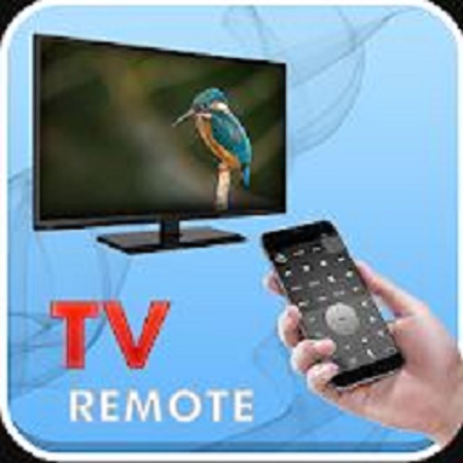 Universal Tv Remote Control
