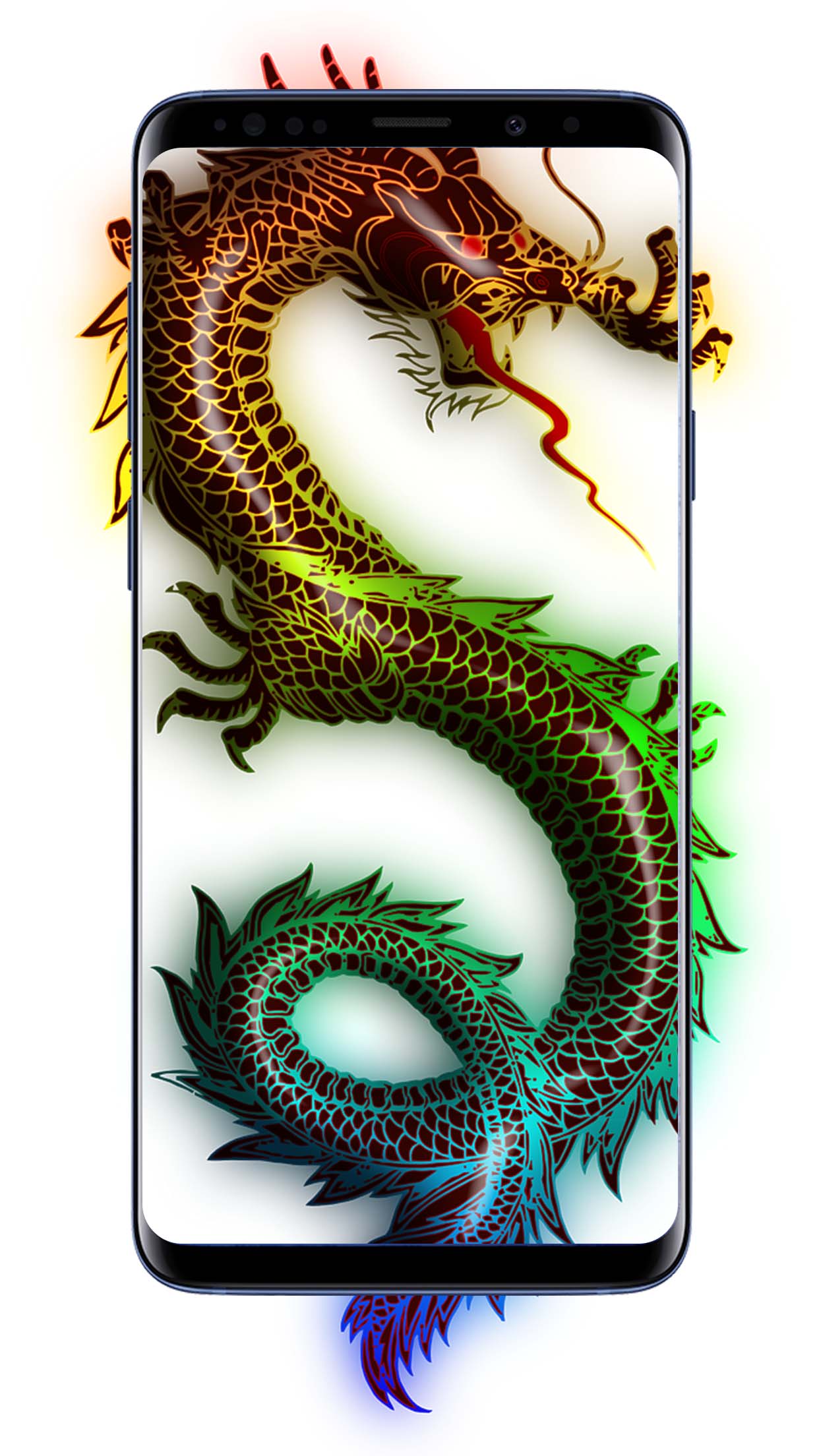 Dragon  wallpaper