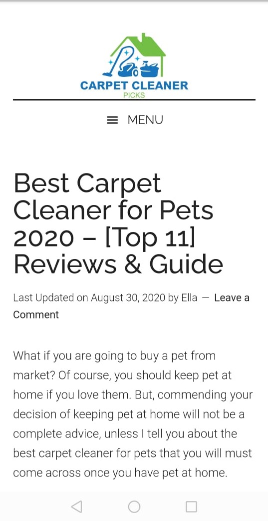 Carpet Cleaner Picks