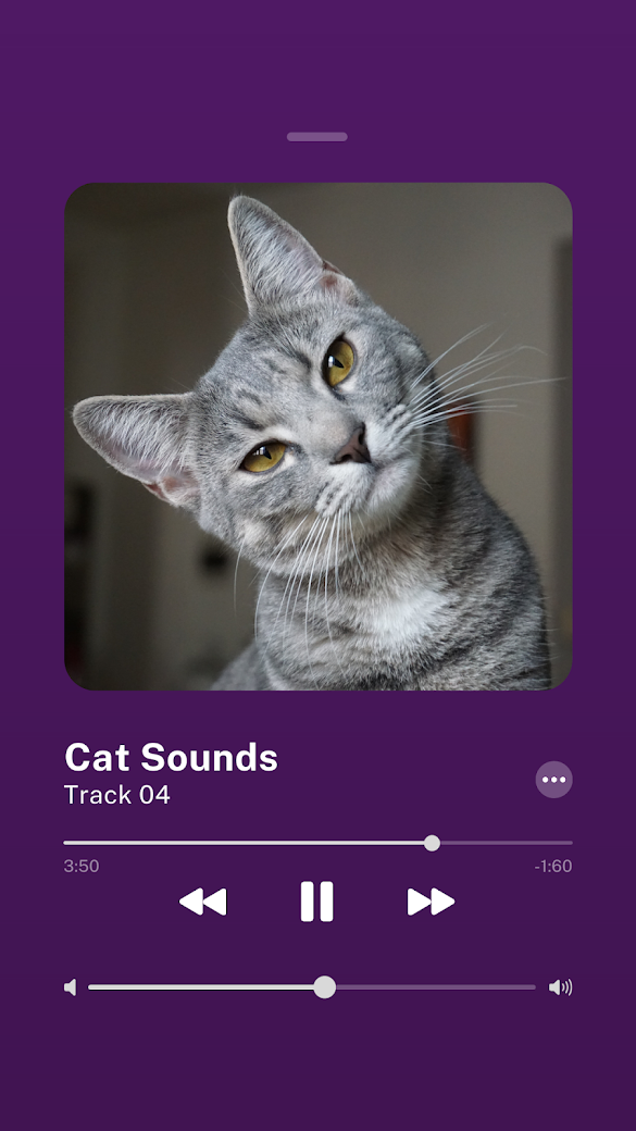 Cat Sounds