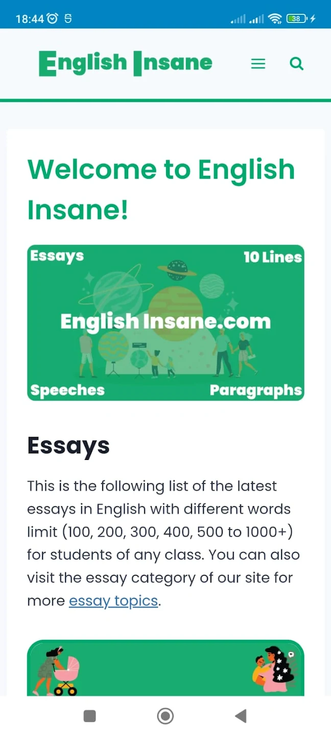 English Insane