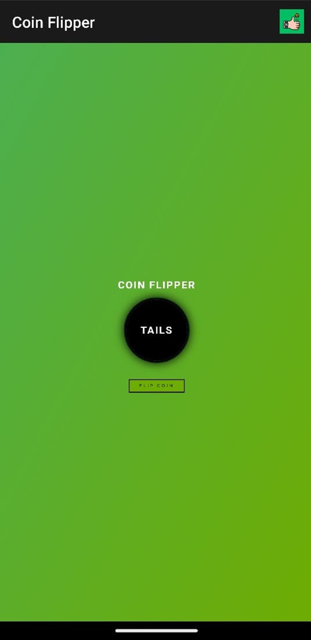 Coin Flipper Coin Flipper