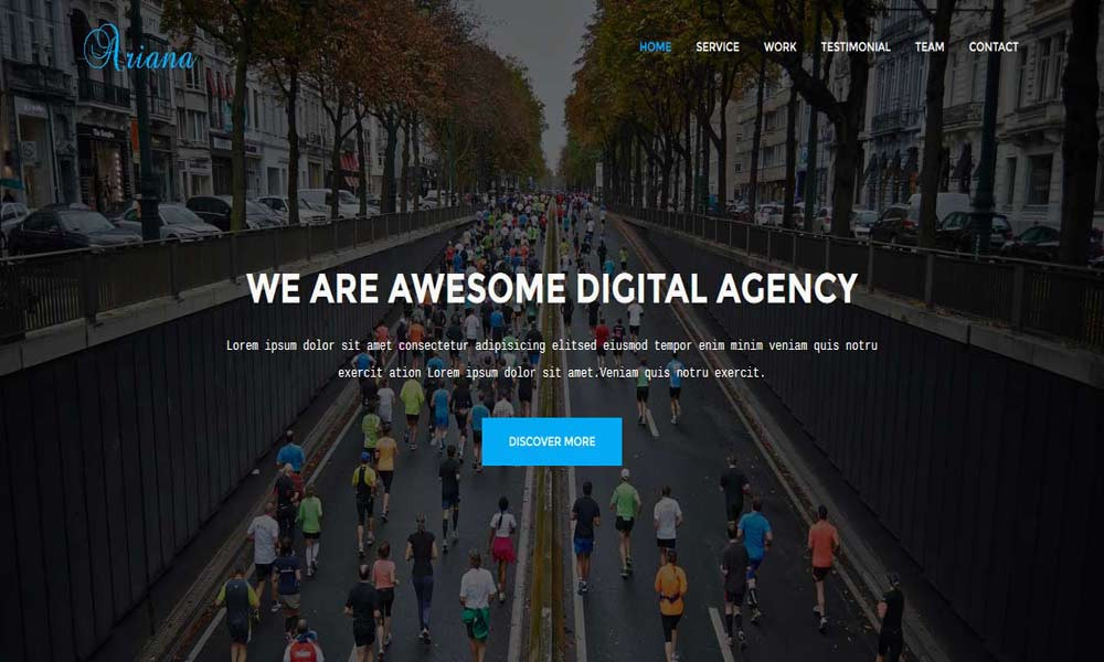 Ariana - Digital Agency One Page Template