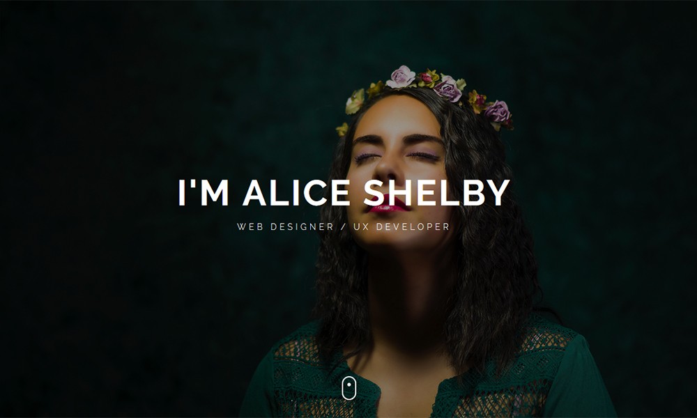 Shelby - Personal Portfolio Template