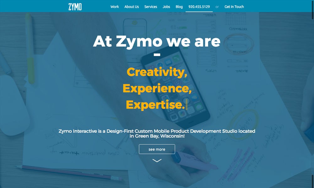 Zymo Interactive Development