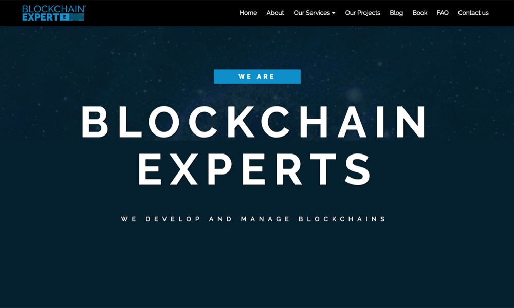 Blockchain Expert