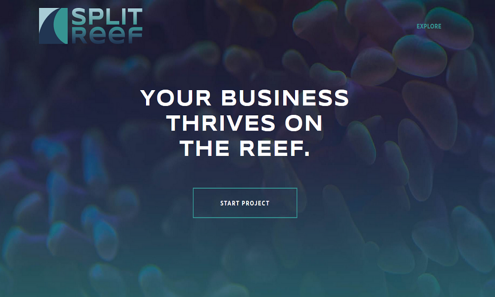 Split Reef