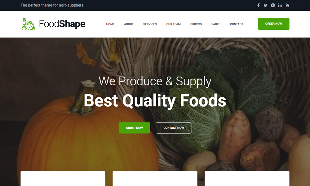 Foodshape Restaurant HTML5 Web Template