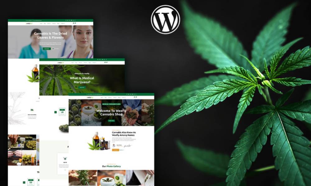 Weefly | Medical Cannabis & Marijuana WordPress Theme