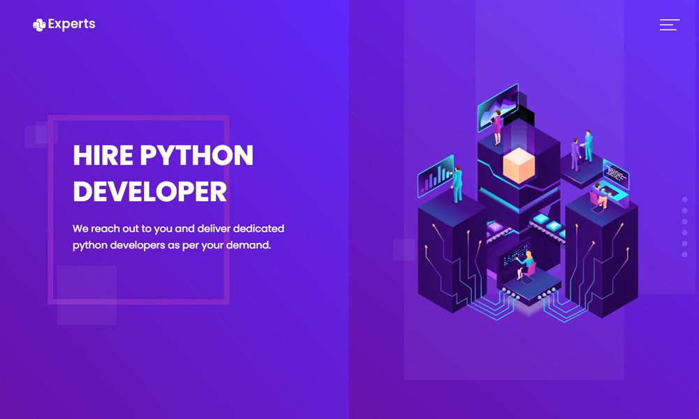 Hire Python Expert