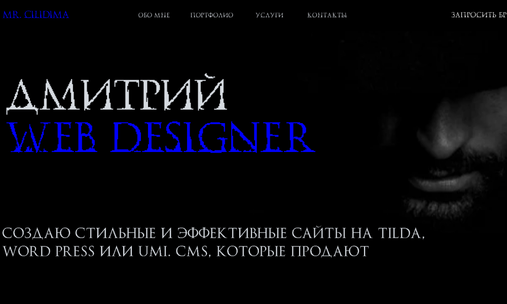Dmitry Web Designer