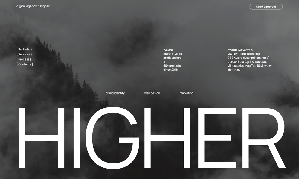 digital agency // higher