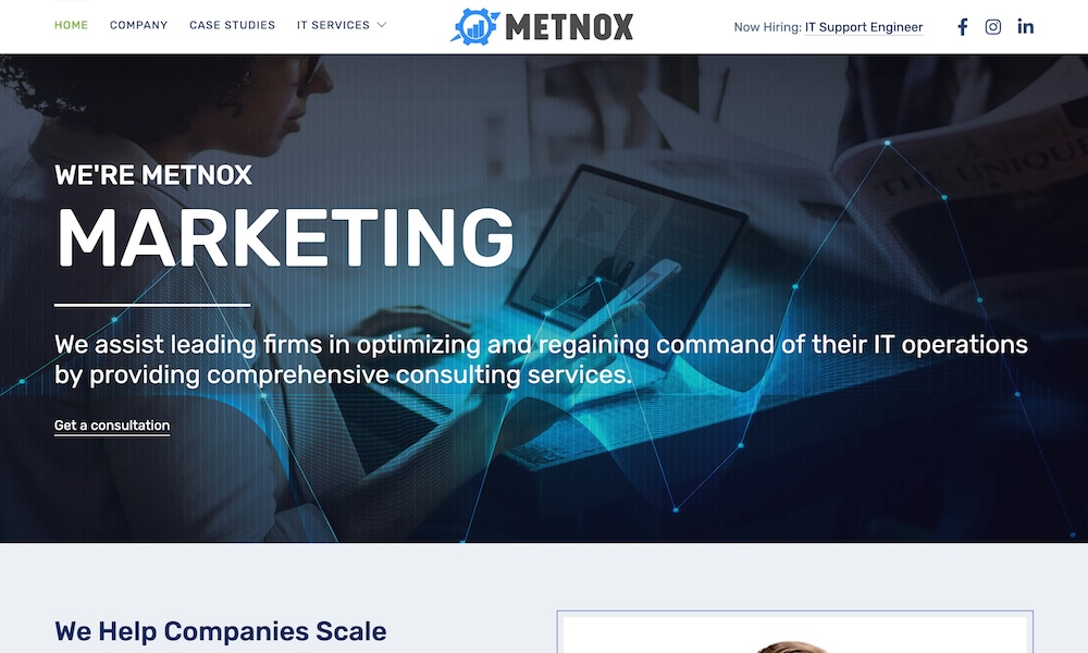 Metnox INC