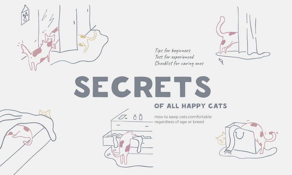 Secrets of happy cats