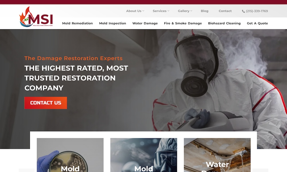Mold Solutions & Inspections