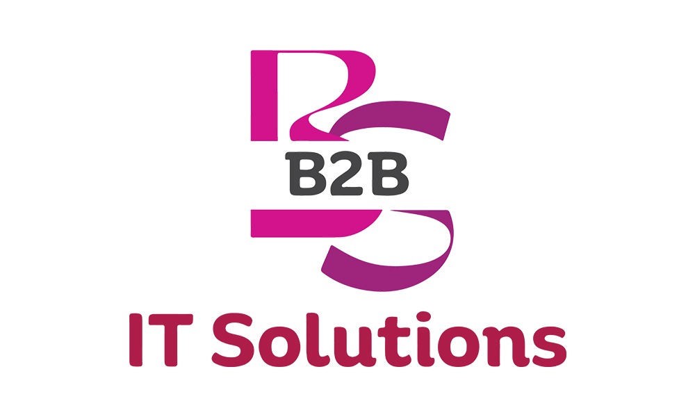 B2B IT Solutions
