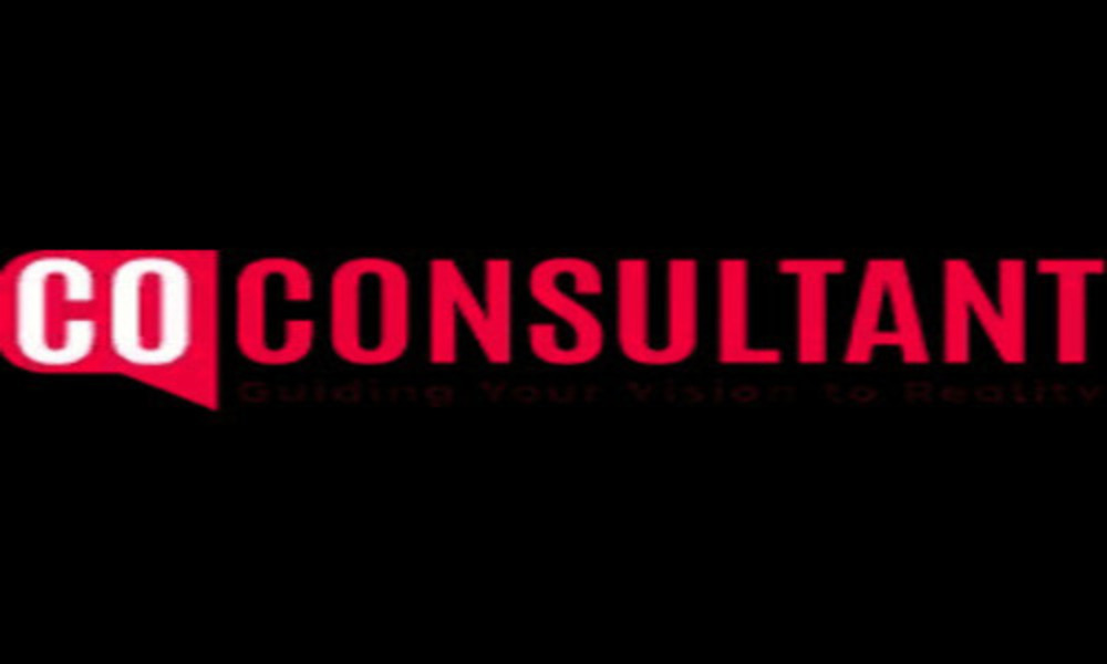 The CoConsultant