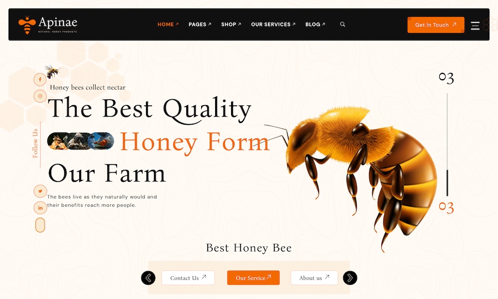 Apinae – Beekeeping and Honey Shop WordPress Theme