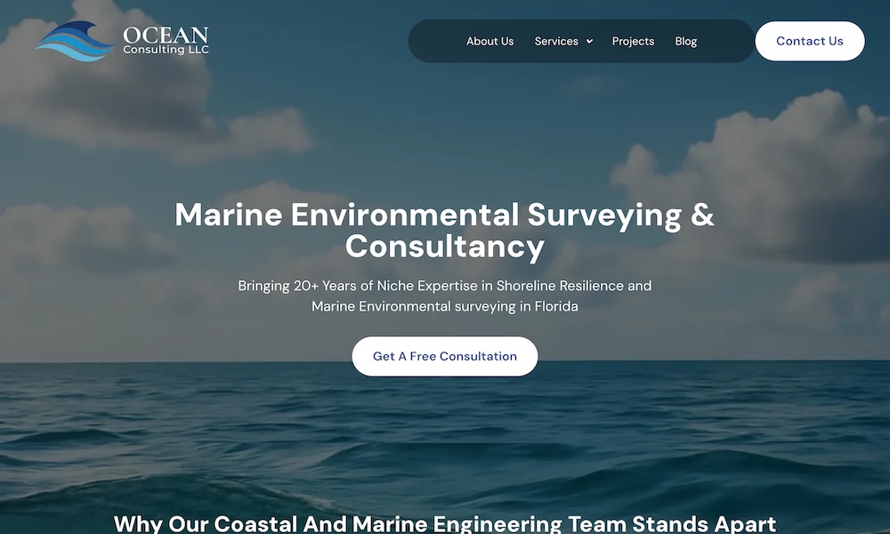Ocean Consulting LLC