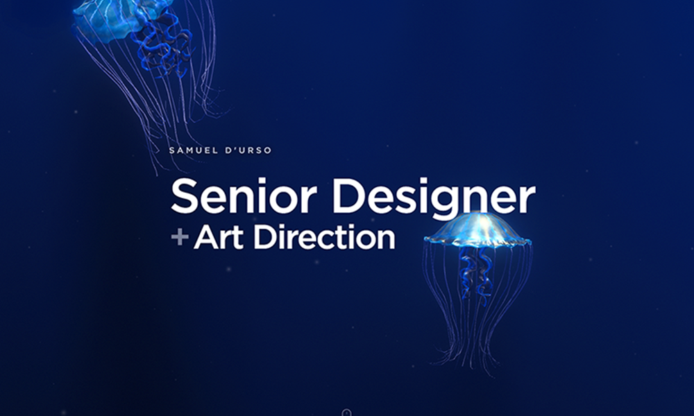 S. D'Urso Senior Design Portfolio