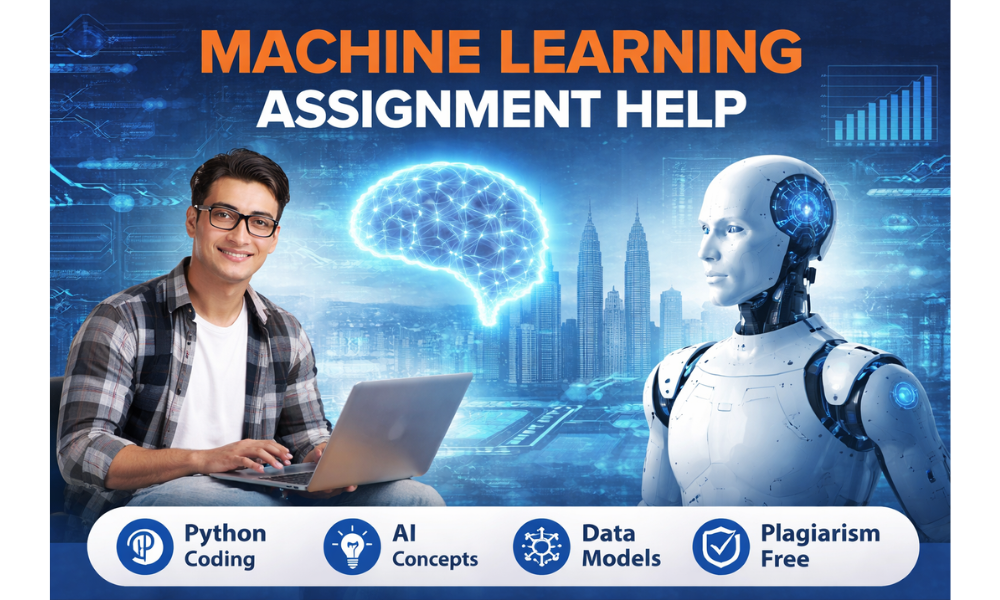 machine learning assignment help