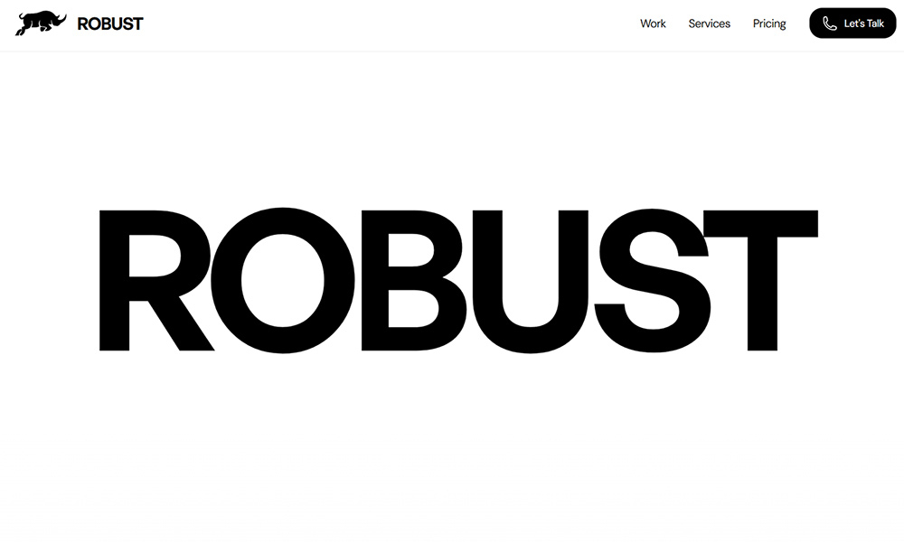 Robust Design Studio
