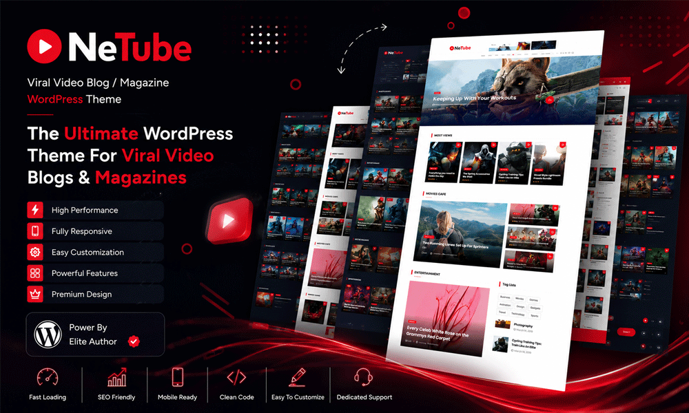 Netube — Viral Video Blog / Magazine WordPress Theme