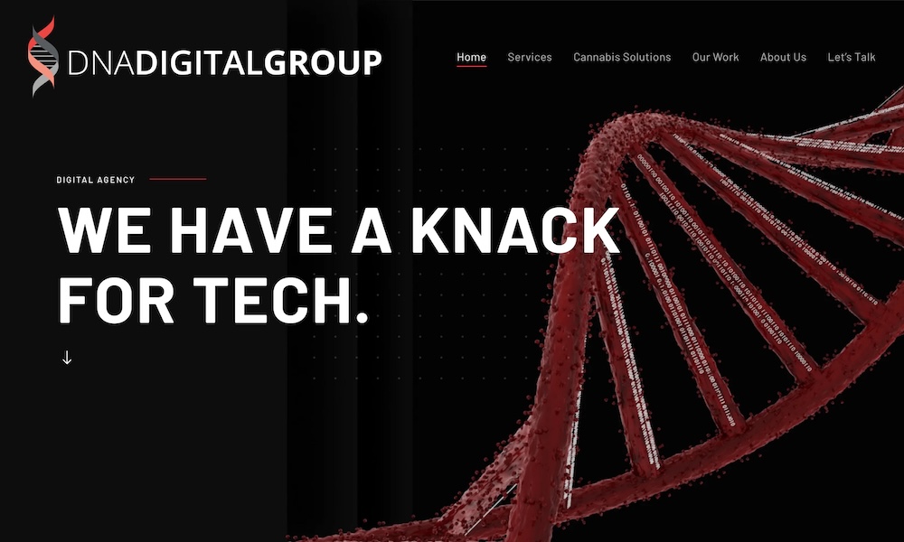 DNA Digital Group LLC